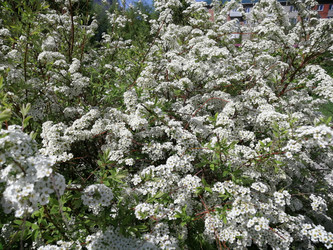 Similar image 21275572