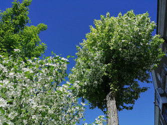 Similar image 21264532