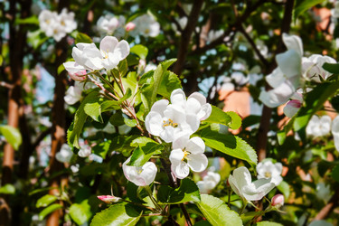 Similar image 21262437