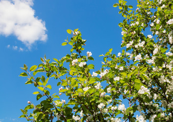 Similar image 21262440