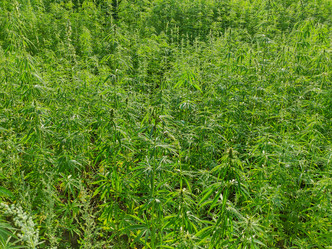 Similar image 21281599