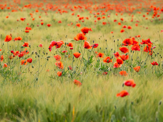 Similar image 21281600