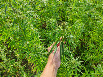 Similar image 21268081