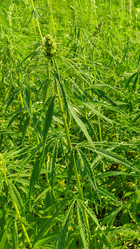 Similar image 21281601