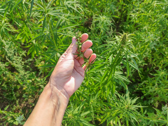 Similar image 21282518