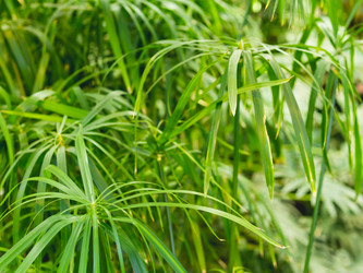 Similar image 21281602