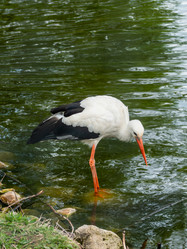 Similar image 21268083