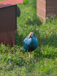 Similar image 21282519