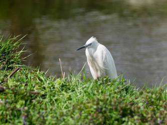 Similar image 21268086