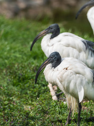 Similar image 21281604