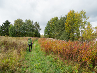 Similar image 21268092