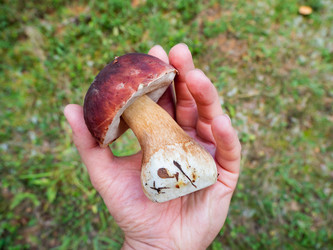 Similar image 21268093