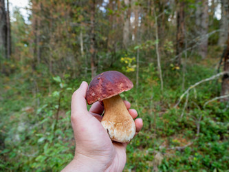 Similar image 21268094