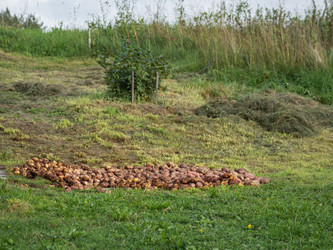 Similar image 21268095