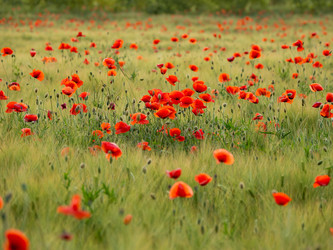 Similar image 21268096