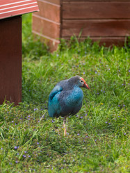 Similar image 21268101