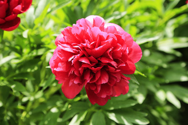 Similar image 21262443