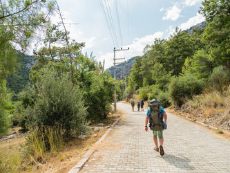 Similar image 21264542