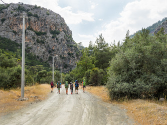 Similar image 21264543