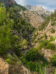 Similar image 21264544