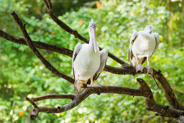 Similar image 21264546