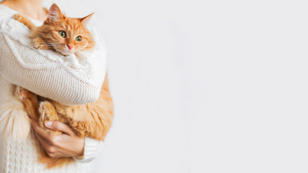 Similar image 21264549