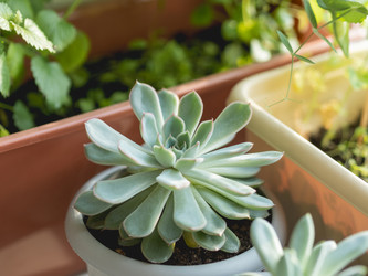 Similar image 21264550