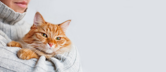 Similar image 21264551