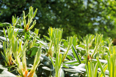 Similar image 21264553