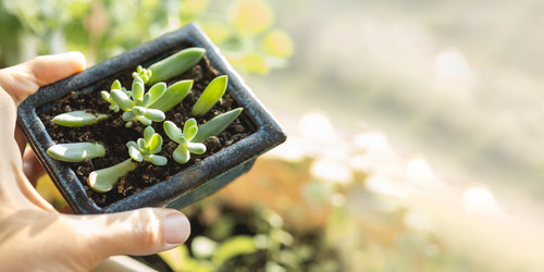 Similar image 21264554