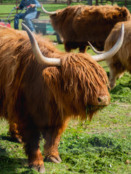 Similar image 21281615