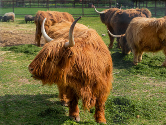 Similar image 21281616