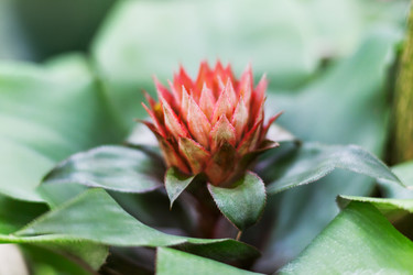 Similar image 21268106