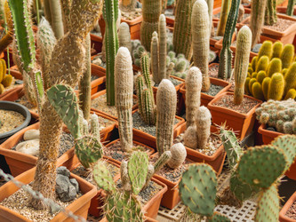 Similar image 21268110