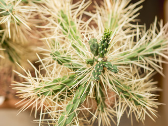 Similar image 21268112