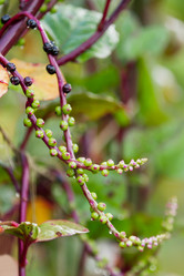 Similar image 21268113