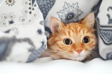 Similar image 21268115