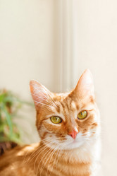 Similar image 21268117