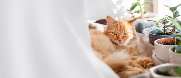 Similar image 21268120