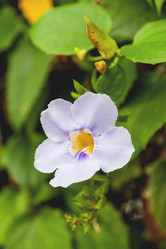 Similar image 21268121