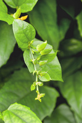 Similar image 21268123