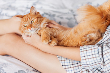 Similar image 21268130