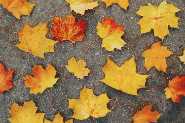 Similar image 21268132