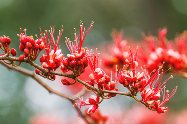 Similar image 21268133