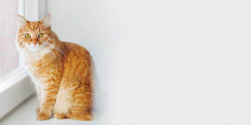 Similar image 21268135