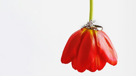 Similar image 21268136