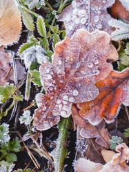 Similar image 21268139