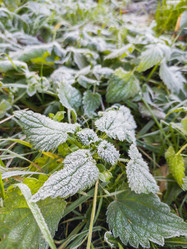 Similar image 21281628