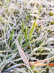 Similar image 21268140