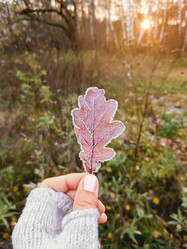 Similar image 21268143